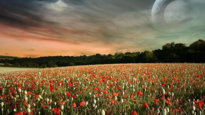 有没有GUI框架开发难度小,***消耗又不多,而且又跨平台? 有没有GUI框架开发难度小,***消耗又不多,而且又跨平台?